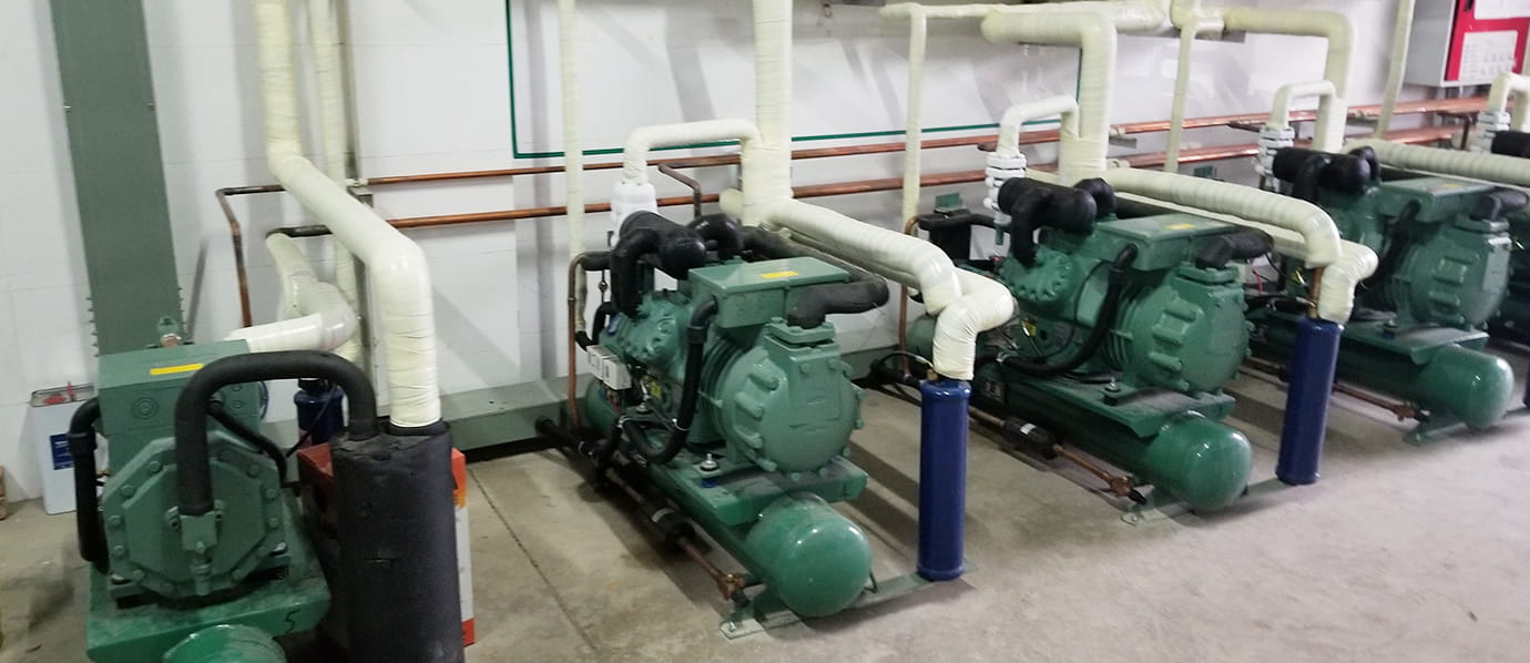 四川冻库建设工程插图1